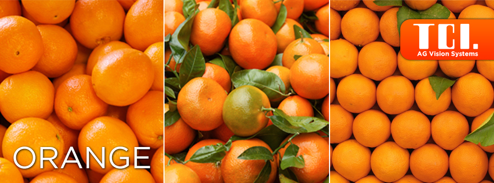 TCI-Orange